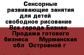 Сенсорные развивающие занятия для детей 0  / свободное рисование - Все города Бизнес » Продажа готового бизнеса   . Мурманская обл.,Островной г.